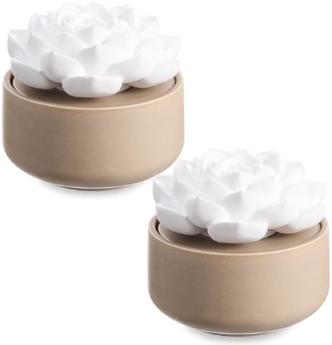 Honeydak 2 Pcs Ceramic Essential Oil Diffuser, Non Electric,Succulent by Honeydak