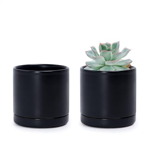 D'vine Dev 2-Pack Ceramic Pots with Saucers, Black, 3.5 in, 94-V-A-2 by DvineDevPlanterPotsandStand