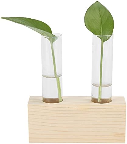Eujgoov Propagation Vase Double Tube, Wood Stand Glass Planter - Image 3