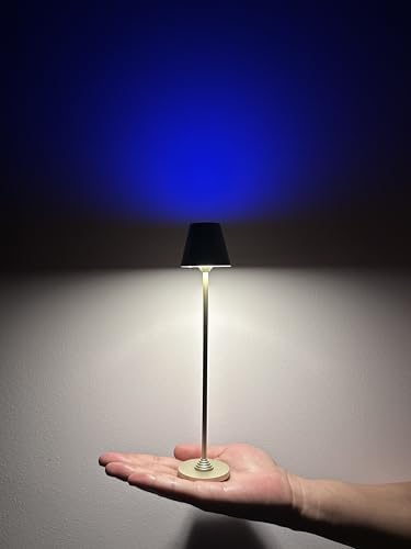 Timjorman RGB Palm-Sized Cordless Table Lamp, Rechargeable Touch Metal Bedside Lamp, 3 Brightness 3000K Warm Light, Small Table Lamp for Bedroom, Restaurant, Patio, Camping (Champagne Gold 1 Pack) by Timjorman