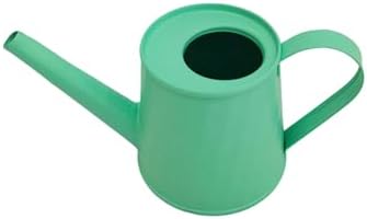 8.4 oz/250 ml Plant Watering Can, Modern Stylish Decorative Indoor Watering Cans for House Plants with Long Spout,Durable Rustproof Small Water Can for Plants for Outdoor Bonsai Garden Succulents by Unknown