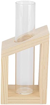 Eujgoov Hydroponic Vase Single Tube Glass with Pine Wood Stand - Image 6