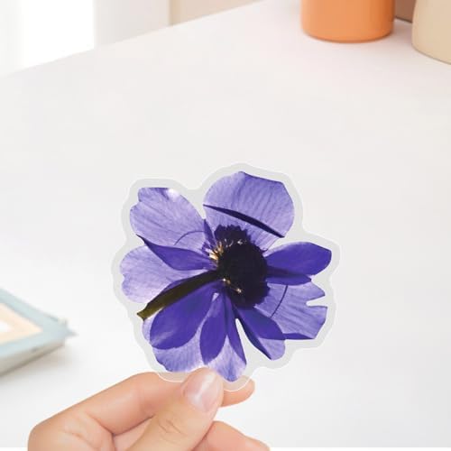 50PCS Transparent Flora Scrapbook Stickers, Flower-E - Image 5