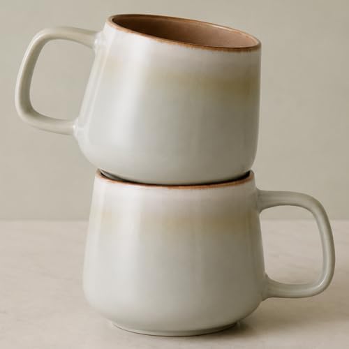 Ava Nord Large Stoneware Ceramic Coffee Mugs Set of 2 | 20 oz | Sage Ash by AvaNord