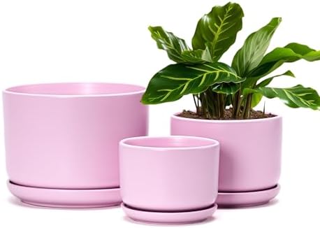 Plant Pots,Ceramic Planters with Drainage Holes&Saucer Set of 3(Matte Pink) by TonSin