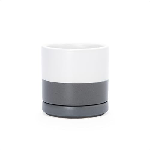 D'vine Dev 3.5 Inch Ceramic Planter Pot, White/Grey, 94-O-A-6 by DvineDevPlanterPotsandStand