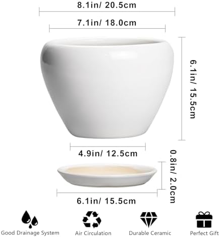 Ceramicfor Ceramic Pot for Plants, 8 Inch Planter, Glossy White - Image 3