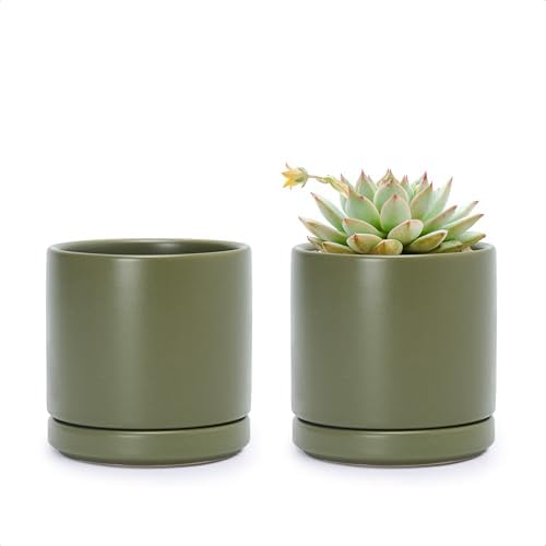 D'vine Dev 2-Pack Ceramic Pots with Saucers, Olive, 3.5 in, 94-V-A-J by DvineDevPlanterPotsandStand