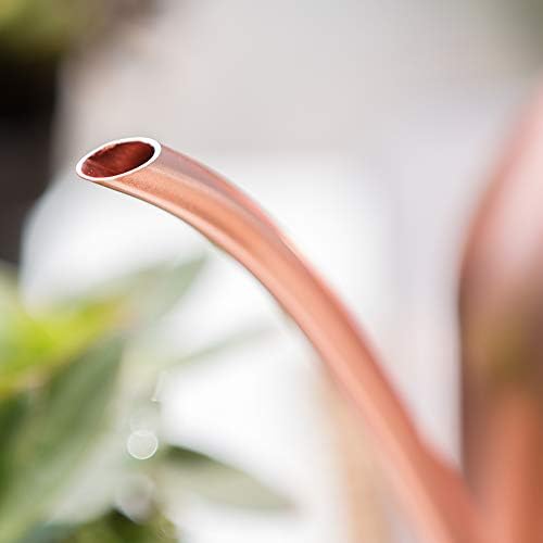 Watering Can for Indoor Plants, 30oz Long Spout Stainless Steel - Image 5