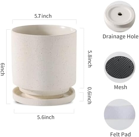Nihow Ceramic Plant Pot Drainage Hole & Saucer for Indoor Plants, 5.7 Inch - Image 2