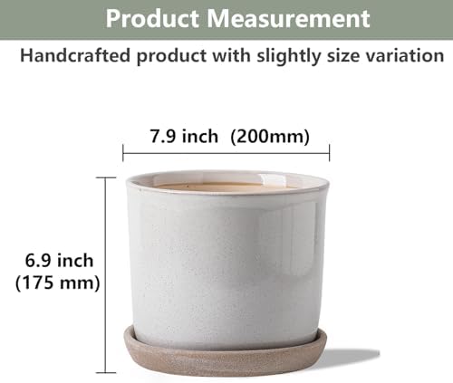 8 Inch Ceramic Planter with Drainage Hole & Bonded Saucer - Image 2