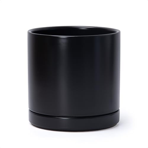 D'vine Dev 8.2 Inch Ceramic Planter Pot, Black, 94-O-D-2 by DvineDevPlanterPotsandStand