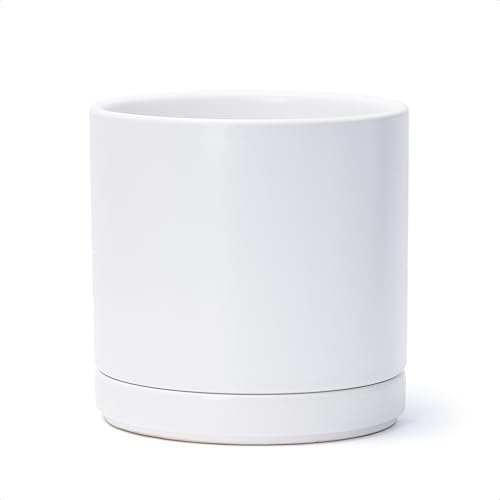 D'vine Dev 8.2 Inch Ceramic Planter Pot, White, 94-O-D-1 by DvineDevPlanterPotsandStand