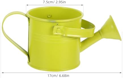 Mini Watering Can for Plants Indoor Outdoor, Decorative Metal Flower Watering Pail with Handle, Long Spout Small Spray Pot for Succulent Gardening - Image 2