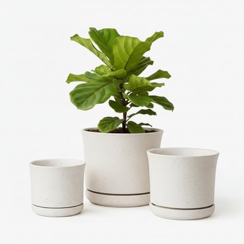 Ceramic Plant Pots, Set of 3, 4.3/5.6/6.9 Inch with Drainage by AvyraVelen