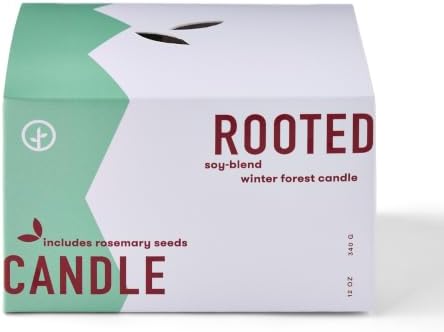 Modern Sprout Soy Candle Planter - Winter Forest by ModernSprout