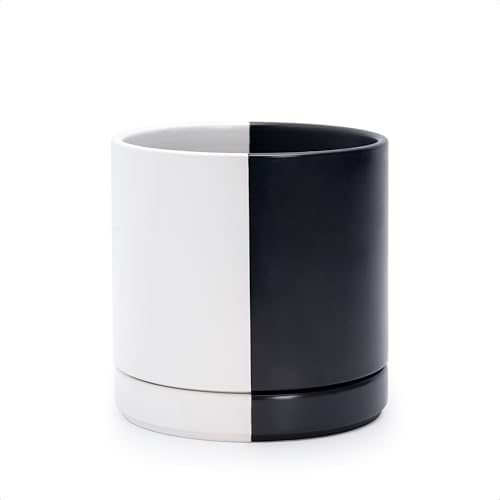 D'vine Dev 6.5 Inch Ceramic Planter Pot, Black White Split, 94-O-C-0 by DvineDevPlanterPotsandStand