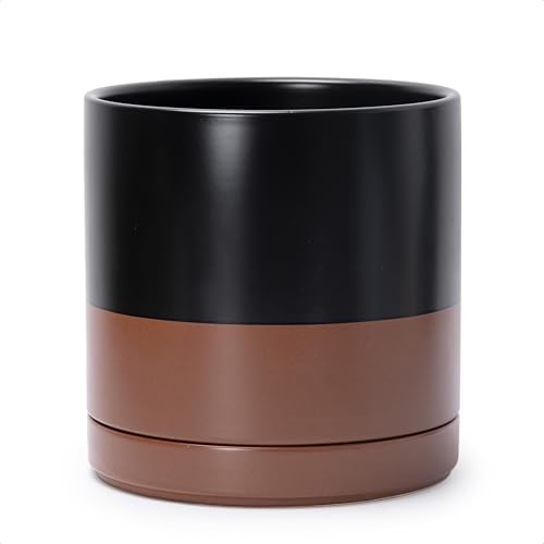 D'vine Dev 10 Inch Ceramic Planter Pot, Black/Tan, 94-O-E-7 by DvineDevPlanterPotsandStand