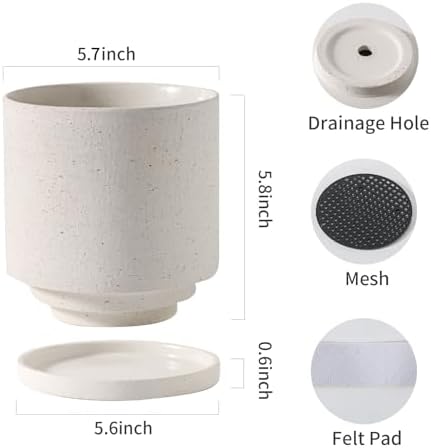 Ceramic Plant Pot with Resin Climbing Tortoise Figure, 5.75 Inch,White - Image 2