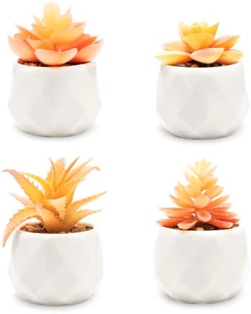 VIVERIE Mini Orange Artificial Succulent in Pots (White Ceramic, 4 Pot Set) Fake Plants for Indoors, Office Home Halloween/Christmas Decor Gifts-Faux Plant Gifts for Women by VIVERIE