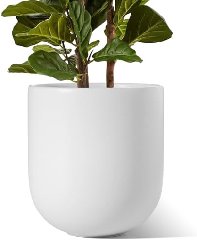 LE TAUCI 12 Inch Pots for Plants, Ceramic Large Planters for Indoor Plants, Indoor Plant Pots for Home Garden Patio Office, Planter Pots with Drainage Hole and Rubber Plug, White by LETAUCI