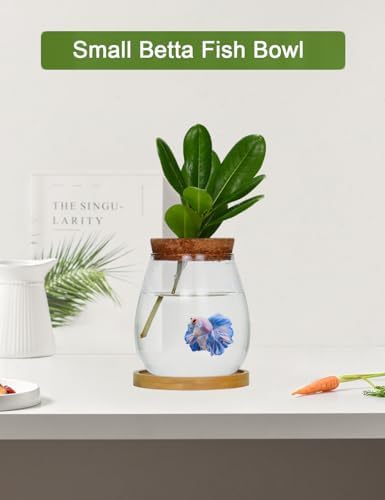Desktop Plants Terrarium Propagation Station Hydroponic Planters Retro Oval Glass Vase with Lid and Stand Home Office Decoration Gifts 2 Pack - Image 3