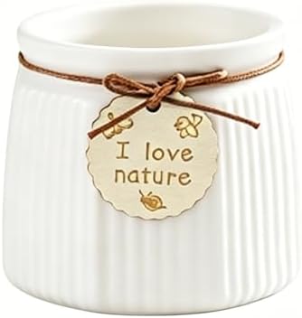 Pastel Ceramic Succulent Pots, Small Mini Flower Planter Pots with Jute Tag, Decorative Indoor Cactus Plant Container for Home Windowsill Desktop Decor (White) by Unknown