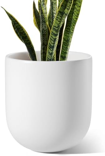 LE TAUCI 10 Inch Plant Pot, Ceramic Pots for Plants with Drainage Hole and Rubber Plug, Plant Pots Indoor for Olive Tree, Cylinder Planter Pot for Home Patio Office, White by LETAUCI