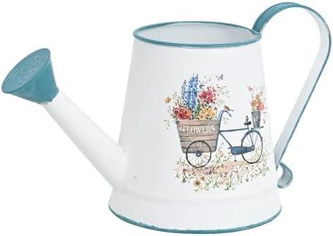 Small Metal Watering Can for Indoor & Outdoor Plants Garden Decor by Zokyntrix