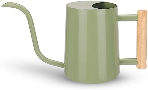 Metal Watering Can for Indoor Plants, 35oz Sage Green Cute Stainless Steel Pot with Long Spout for Indoor House Plants Bonsai Outdoor Garden Flower Decorative by CEWOR
