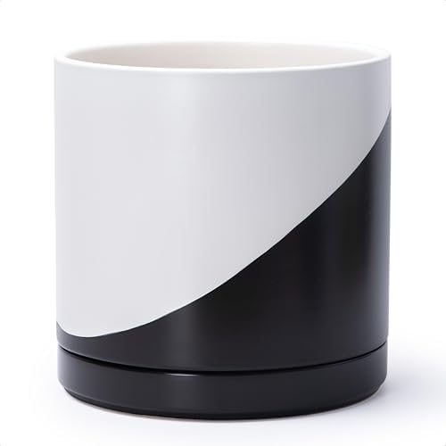 D'vine Dev 12 Inch Ceramic Planter Pot, Black White Diagonal, 94-O-F-K by DvineDevPlanterPotsandStand