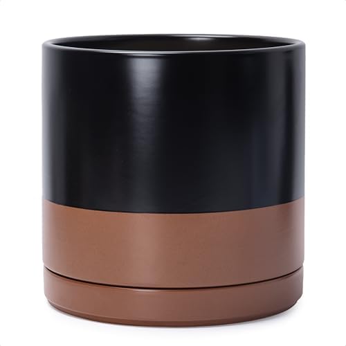 D'vine Dev 12 Inch Ceramic Planter Pot, Black/Tan, 94-O-F-7 by DvineDevPlanterPotsandStand