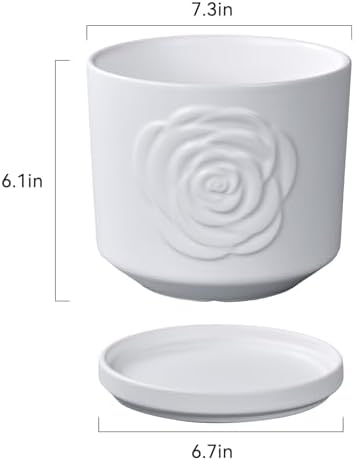 Ekirlin 7 Inch Plant Pot for Indoor Plants, Modern Ceramic Glaze Planters, Round Planter Pot with Drainage Hole and Saucer, Pothos Flower Pots for Succulent, Orchid, Snake Plant,Gift for Plant, White - Image 4