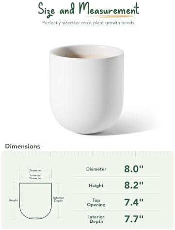 LE TAUCI 8 Inch Ceramic Plant Pot, Indoor Planter, White - Image 5