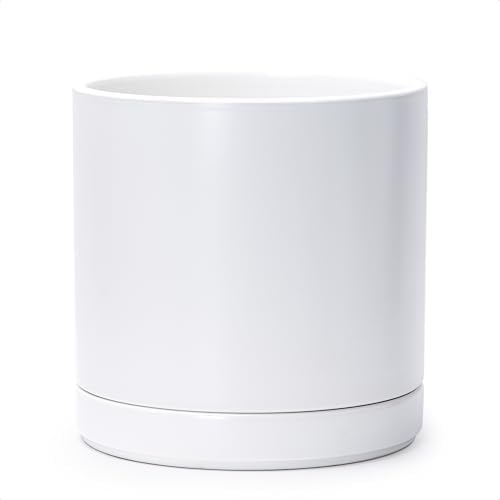 D'vine Dev 10 Inch Ceramic Planter Pot, White, 94-O-E-1 by DvineDevPlanterPotsandStand