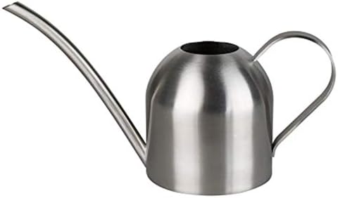 Fasmov Stainless Steel Watering Can, Small Modern Style Watering Pot, 15oz/450ml Watering Can with Long Spout to Prevent Spillage, Perfect Plant Watering Can for Outdoor and Indoor Plants (Silver) by Fasmov