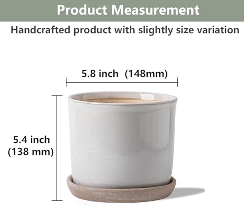 5.8 Inch Ceramic Planter with Drainage Hole & Bonded Saucer - Image 2