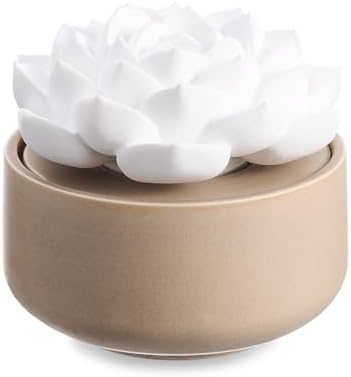 Honeydak 1 Pcs Ceramic Essential Oil Diffuser, Non Electric,Succulent by Honeydak
