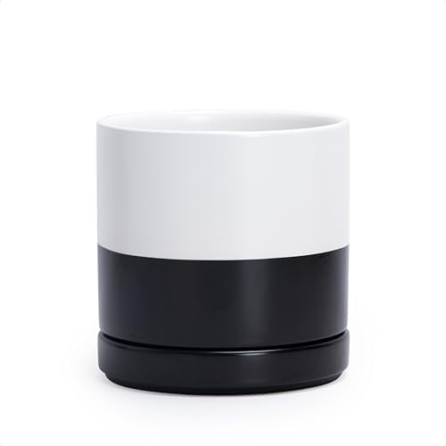 D'vine Dev 6.5 Inch Ceramic Planter Pot, Black White Two Tone, 94-O-C-L by DvineDevPlanterPotsandStand