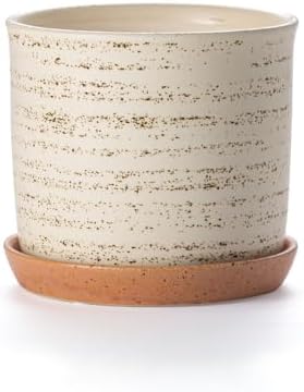 5.8 Inch Ceramic Plant Pot with Drainage Hole & Separate Saucer by Chubacoo