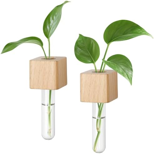 Magnetic Test Tube Flower Vases for Refrigerator, Set of 2 by EnjoyLife