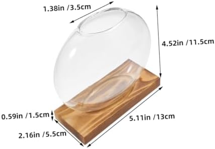 SMASOLO 2pcs Hydroponic Glass Vase with Wooden Terrarium Stand, Propagation Planter for Home and Office, Decorative Green Plant Desk Vase Set - Image 2