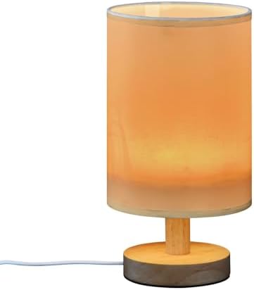 Tangerine Print Bedside Table Lamp for Bedroom Small Lamps for Nightstand Lamp with Fabric Lampshade LED Desk Lamps for Living Room Home Office Dorm Kids Room - Image 2