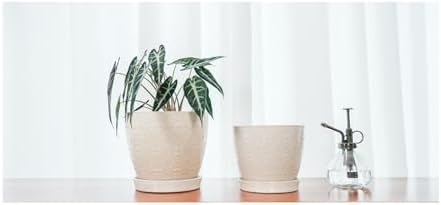 Docrin Ceramic Plant Pots Indoor, 6.6 + 5.5 Inch Planters with Drainage Holes and Saucer for Home/Office - Set of 2 /White - Image 5