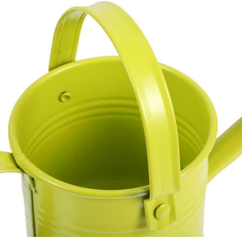 Mini Watering Can for Plants Indoor Outdoor, Decorative Metal Flower Watering Pail with Handle, Long Spout Small Spray Pot for Succulent Gardening - Image 3