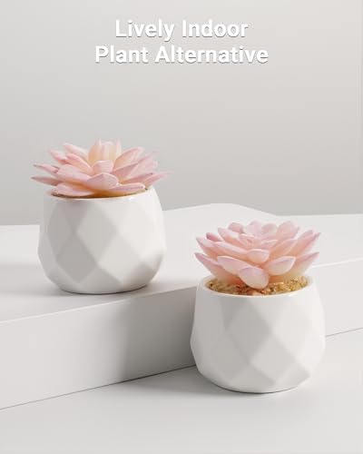 VIVERIE Mini Succulents Plants Artificial in Pots-Pink, Christmas Small Fake Succulents Plants for Home Decor Indoor for Women, White Ceramic Faux Succulents, Set of 2, Gifts for Mom - Image 4