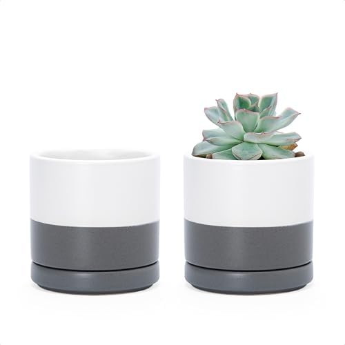 D'vine Dev Set of 2 Plants Pots, 3.5 Inch Ceramic Planter Pot for Plants with Drainage Hole and Saucer, White/Speckled Grey, 94-V-A-6 by DvineDevPlanterPotsandStand
