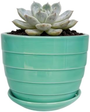 Cute 4.13 Inch Ceramic Home Garden Decoration Succulent Cactus Flower Pots Container -Plant Not Included，Light Blue by SJBAG