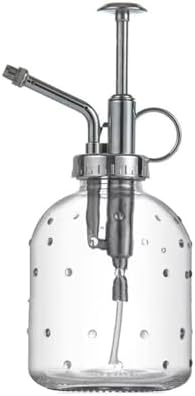 Retro Glass Plant Mister Bottle,Vintage Plant Spritzer Spray Bottle for Succulents,Indoor Watering Can with Detachable Nozzle(Silver 200ml) by Unknown