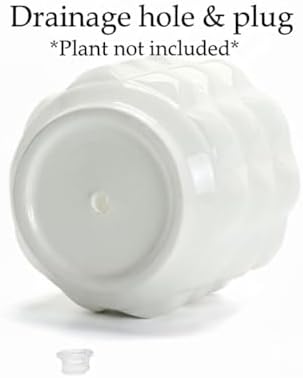 Ceramic Planter Pot with Drainage Hole, 4.5 Inch Dia, Indoor and Outdoor, Home Patio Garden, Plants Flower Succulent, 3D Patterned Round (White) - Image 5
